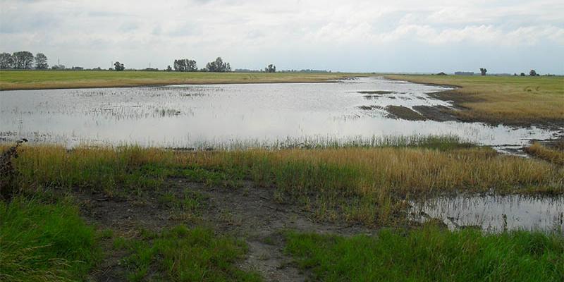 I de små magasinen har grundvattennivån återhämtat sig, men i de stora magasinen behövs betydande nederbörd innan sommaren. Foto Szeder László/Wikimedia Commons