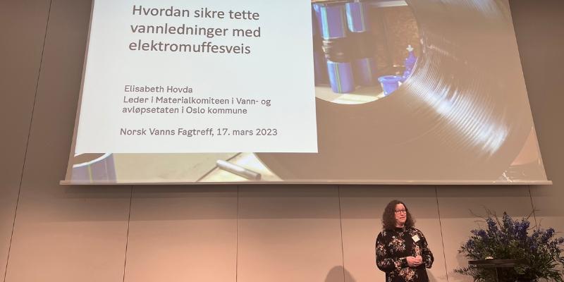 Elisabeth Hovda, leder i Materialkomiteen i Vann- og avløpsetaten i Oslo kommune, beskrev prosjektet og hovedtrekkene i funnene på Norsk Vanns fagtreff i februar.